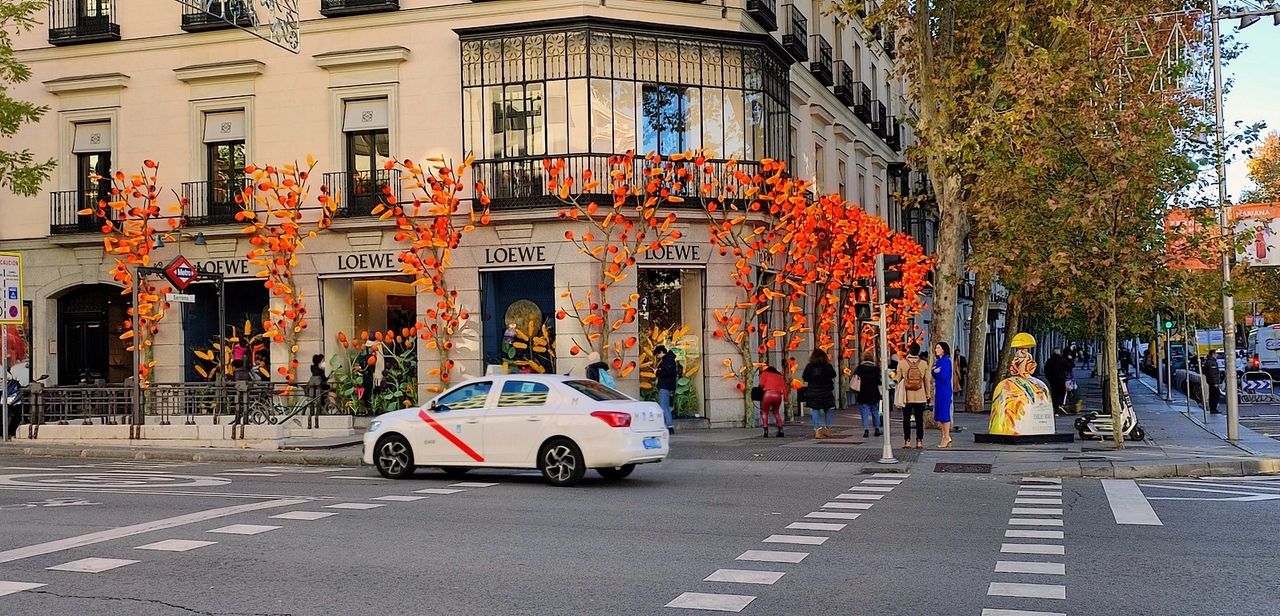 Calle Goya, Madrid, España.